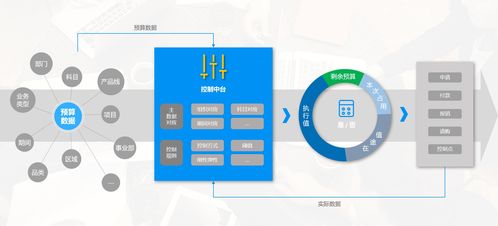 在預算管理的脈絡中 尋覓國產軟件的創新之路