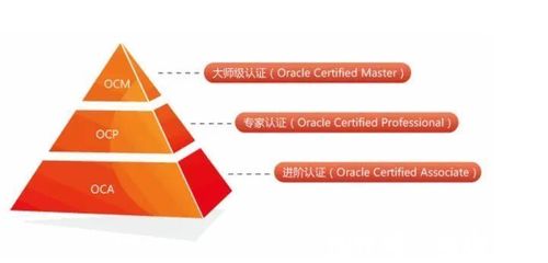 熊貓同學觀察丨IT行業,網工都有啥高含金量的證書可考?Oracle篇